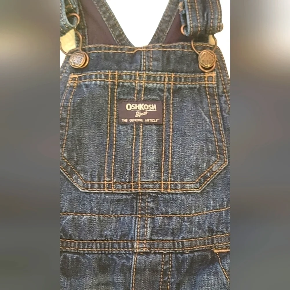 Oshkosh B'Gosh Overall Carpenter Denim fleeced lined Jeans